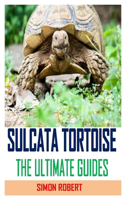 Sulcata Tortoise the Ultimate Guides: Discover the complete guides on everything you need to know about sulcata tortoise