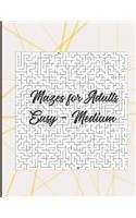 Mazes for adults: Easy - Medium level in large size book