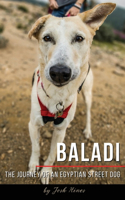 Baladi