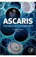 Ascaris