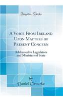 A Voice from Ireland Upon Matters of Present Concern: Addressed to Legislators and Ministers of State (Classic Reprint)