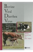 Bovine Viral Diarrhea Virus