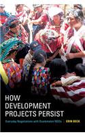 How Development Projects Persist: Everyday Negotiations with Guatemalan NGOs