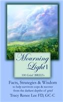 Mourning Light 1: 100 Grief Briefs