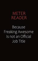 Meter Reader Because Freaking Awesome Is Not An Official job Title