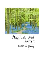 L'Esprit Du Droit Romain