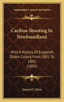 Caribou Shooting In Newfoundland