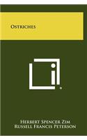Ostriches
