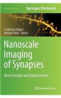 Nanoscale Imaging of Synapses