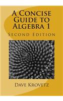A Concise Guide to Algebra 1