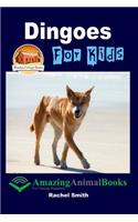 Dingoes For Kids