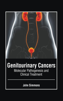 Genitourinary Cancers: Molecular Pathogenesis and Clinical Treatment