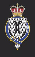 Mills: Mills Coat of Arms and Family Crest Notebook Journal (6 x 9 - 100 pages)
