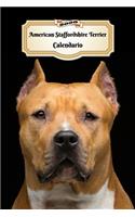 2020 American Staffordshire Terrier Calendario