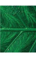 Dew Leaf Sketchbook: Blank Art Sketch Pad Journal Notebook(40 Go Green 150 Sketch)
