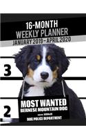 2019-2020 Weekly Planner - Most Wanted Bernese Mountain Dog: Daily Diary Monthly Yearly Calendar Large 8.5" x 11" Schedule Journal Organizer Notebook Appointment