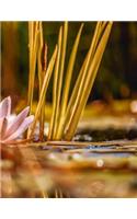 Water Lily Notebook