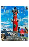 Cats of Magic City