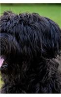 Briard Dog Breed Notebook