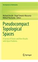 Pseudocompact Topological Spaces