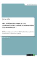 Der handlungstheoretische und strukturell-funktionalistische Ansatz in der Jugendsoziologie