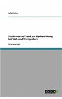 Studie von AdTrend zur Werbewirkung bei Viel- und Wenigsehern
