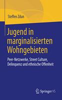 Jugend in Marginalisierten Wohngebieten: Peer-Netzwerke, Street Culture, Delinquenz Und Ethnische Offenheit