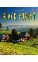 Journey Through the Black Forest