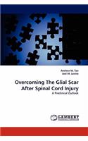 Overcoming The Glial Scar After Spinal Cord Injury