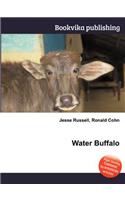 Water Buffalo