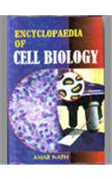 Encyclopaedia Of Cell Biology