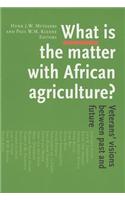 What is the Matter with African Agriculture?
