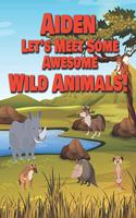 Aiden Let's Meet Some Awesome Wild Animals!