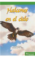 Harcourt School Publishers Villa Cuentos: Advanced Reader Grade 3 Halcones En El Cielo: Advanced Reader Grade 3 Halcones En El Cielo