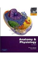 Anatomy & Physiology with Interactive Physiology 10-System Suite