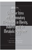 Oxidative Stress and Inflammatory Mechanisms in Obesity, Diabetes, and the Metabolic Syndrome
