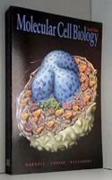 Molecular Cell Biology