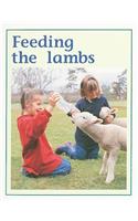 Feeding the Lambs: Individual Student Edition Green (Levels 12-14)