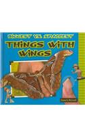 Biggest vs. Smallest Things with Wings