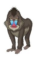 Standing Mandrill - Blank Lined Notebook