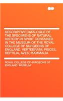 Descriptive Catalogue of the Specimens of Natural History in Spirit Contained in the Museum of the Royal College of Surgeons of England. Vertebrata: P(English)