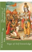 essence of Bhagavad Gita