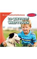 Lo Que Toco / What I Touch
