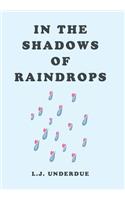 In the Shadows of Raindrops