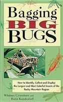 Bagging Big Bugs