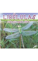 Libelulas (Dragonfiles)