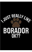 I Just Really Like Borador Ok?