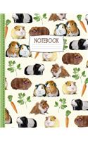 Guinea Pig Notebook: Sketch and Write