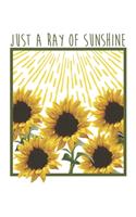 Just A Ray of The Sunshine Summer