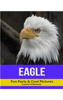 Eagle: Fun Facts & Cool Pictures